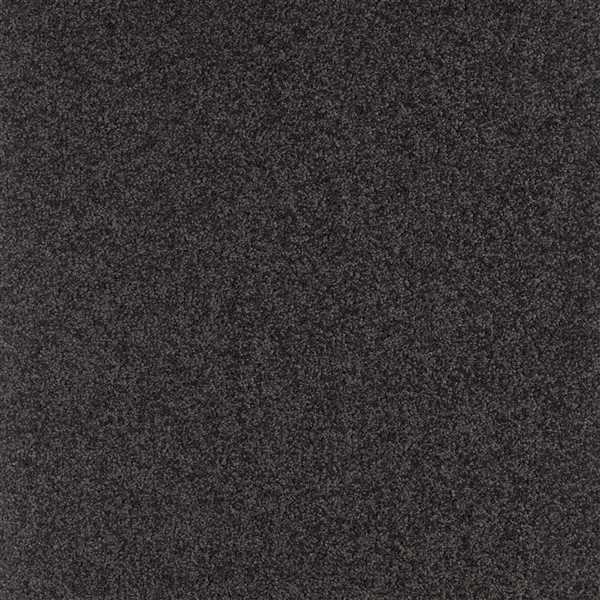 картинка Balsan Ковер Balsan (Балсан) Balsan Serenite 980 ANTHRACITE, 4 м (Балсан ) магазин Симфония Пола - официальный дилер Balsan в России картинка Balsan Ковер Balsan (Балсан) Balsan Serenite 980 ANTHRACITE, 4 м (Балсан ) магазин Симфония Пола - официальный дилер Balsan в России