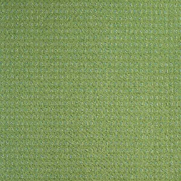картинка Balsan Ковер Balsan (Балсан) Balsan Baccarat 250 JUNGLE, 4 м (Балсан ) магазин Симфония Пола - официальный дилер Balsan в России