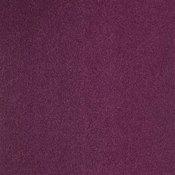 картинка Balsan Ковер Balsan (Балсан) Balsan Majestic 870 EXALTE, 4 м (Балсан ) магазин Симфония Пола - официальный дилер Balsan в России