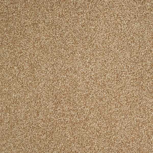 картинка Balsan Ковер Balsan (Балсан) Balsan Mezzo Roll 620 DAIM, 4 м (Балсан ) магазин Симфония Пола - официальный дилер Balsan в России картинка Balsan Ковер Balsan (Балсан) Balsan Mezzo Roll 620 DAIM, 4 м (Балсан ) магазин Симфония Пола - официальный дилер Balsan в России