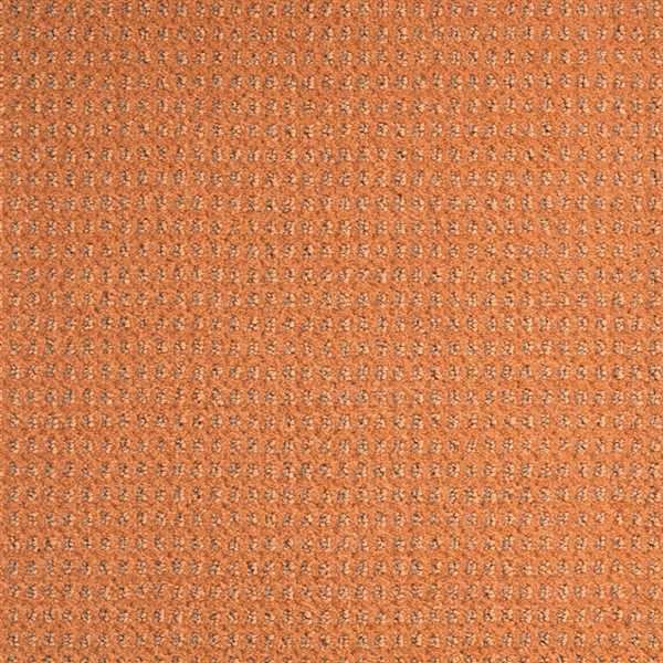 картинка Balsan Ковер Balsan (Балсан) Balsan Baccarat 450 ABRICOT, 4 м (Балсан ) магазин Симфония Пола - официальный дилер Balsan в России картинка Balsan Ковер Balsan (Балсан) Balsan Baccarat 450 ABRICOT, 4 м (Балсан ) магазин Симфония Пола - официальный дилер Balsan в России
