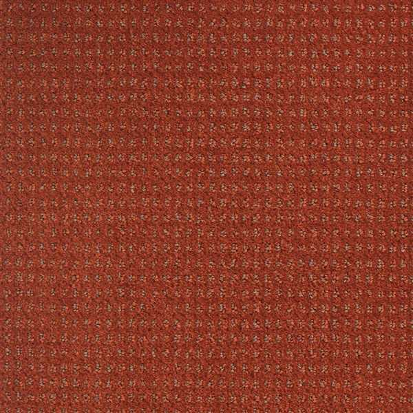 картинка Balsan Ковер Balsan (Балсан) Balsan Baccarat 464 TERRE CUITE, 4 м (Балсан ) магазин Симфония Пола - официальный дилер Balsan в России