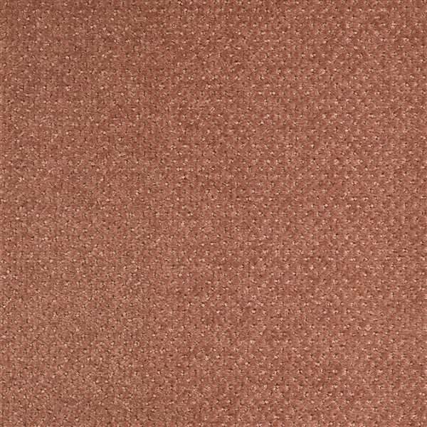 картинка Balsan Ковер Balsan (Балсан) Balsan Aquarelle Touch 460 NECTAR, 4 м (Балсан ) магазин Симфония Пола - официальный дилер Balsan в России картинка Balsan Ковер Balsan (Балсан) Balsan Aquarelle Touch 460 NECTAR, 4 м (Балсан ) магазин Симфония Пола - официальный дилер Balsan в России