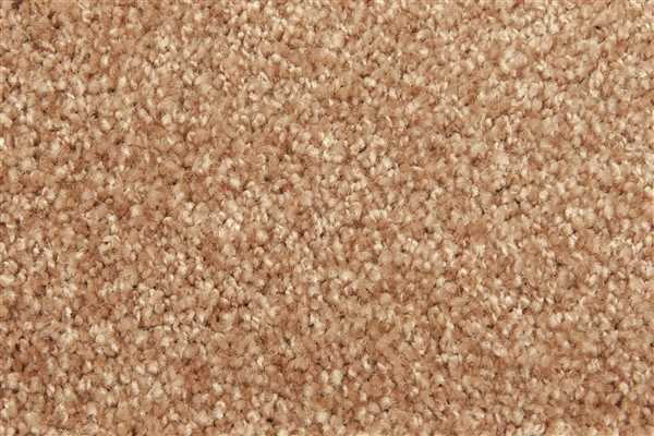 картинка Edel Ковер Edel (Эдель) Edel Group Chavelli 152 Copper 100% ПОЛИАМИД (Эдель ) магазин Симфония Пола - официальный дилер Edel в России картинка Edel Ковер Edel (Эдель) Edel Group Chavelli 152 Copper 100% ПОЛИАМИД (Эдель ) магазин Симфония Пола - официальный дилер Edel в России