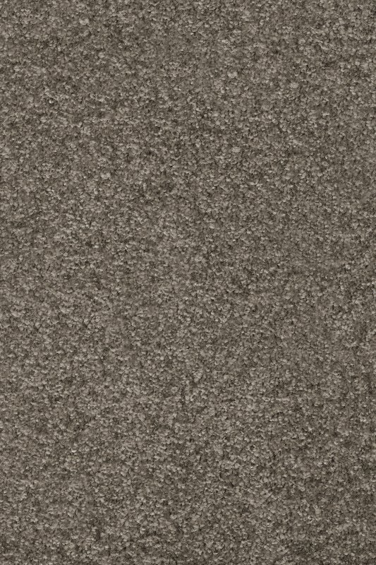 картинка Associated Weavers Gaia Equator 97 (Гая Equator 97) магазин Симфония Пола - официальный дилер Associated Weavers в России