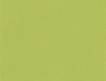 картинка Interface Ковровая плитка Interface (Интерфейс) Interface Palette 2000 - 542138 Gooseberry 0,5 x 0,5 м, (Интерфейс ) магазин Симфония Пола - официальный дилер Interface в России