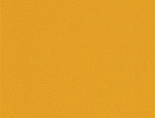 картинка Interface Ковровая плитка Interface (Интерфейс) Interface Palette 2000 - 542118 Sunflower 0,5 x 0,5 м, (Интерфейс ) магазин Симфония Пола - официальный дилер Interface в России