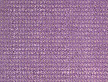 картинка Balsan Ковер Balsan (Балсан) Balsan Baccarat 840 GLYCINE, 4 м (Балсан ) магазин Симфония Пола - официальный дилер Balsan в России 
