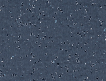 картинка Gerflor ПВХ рулонный Gerflor (Жерфлор) Mipolam Elegance EL5 0351 Black, 2*20m (Жерфлор ) магазин Симфония Пола - официальный дилер Gerflor в России 