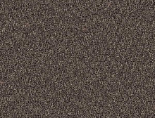 картинка Interface Ковровая плитка Interface (Интерфейс) Concrete Mix Brushed 338191 Brownstone 0.5 x 0.5 м (Интерфейс ) магазин Симфония Пола - официальный дилер Interface в России