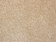 картинка Associated Weavers Euphoria 36 (Маскарад Euphoria 36) магазин Симфония Пола - официальный дилер Associated Weavers в России