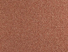 картинка Balsan Ковер Balsan (Балсан) Balsan Les Must 560 TERRA, 4 м 100% ПОЛИАМИД (Балсан ) магазин Симфония Пола - официальный дилер Balsan в России