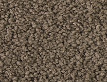 картинка Balsan Ковер Balsan (Балсан) Balsan Sublime - 750 MUSC, 4 м 100% ПОЛИАМИД Solution dyed (Балсан ) магазин Симфония Пола - официальный дилер Balsan в России