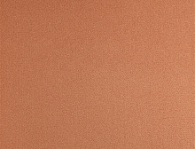 картинка Balsan Ковер Balsan (Балсан) Balsan Sydney DD - 750 ARGILE, 4 м 100% ПОЛИАМИД (Балсан ) магазин Симфония Пола - официальный дилер Balsan в России