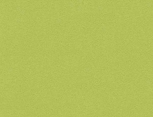 картинка Interface Ковровая плитка Interface (Интерфейс) Palette 2000 542138 Gooseberry  0,5х0,5 м (Интерфейс ) магазин Симфония Пола - официальный дилер Interface в России 