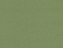 картинка Interface Ковровая плитка Interface (Интерфейс) Biosfera Velour 7997 Spinelle Verde 0,5x0,5м (Интерфейс ) магазин Симфония Пола - официальный дилер Interface в России 