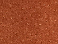 картинка Balsan Ковер Balsan (Балсан) Balsan Territoires Atoll 451 CAYENNE , 4 м 100% ПОЛИАМИД (Балсан ) магазин Симфония Пола - официальный дилер Balsan в России