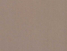картинка Balsan Ковер Balsan (Балсан) Balsan Altitude 740 ACACIA, 4 м (Балсан ) магазин Симфония Пола - официальный дилер Balsan в России