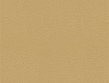 картинка Interface Ковровая плитка Interface (Интерфейс) Interface Palette 2000 - 542141 Brulee 0,5 x 0,5 м, (Интерфейс ) магазин Симфония Пола - официальный дилер Interface в России