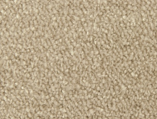 картинка Edel Ковер Edel (Эдель) Edel Group Picollo - 119 Moonstone, ширина 4 м 100% ПОЛИАМИД Solution dyed (Эдель ) магазин Симфония Пола - официальный дилер Edel в России