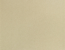 картинка Balsan Ковер Balsan (Балсан) Balsan LUXE 613 CREME, 4 м 100% ПОЛИАМИД Solution dyed (Балсан ) магазин Симфония Пола - официальный дилер Balsan в России 