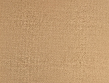 картинка Balsan Ковер Balsan (Балсан) Balsan Quick 736 DAIM, 4 м 100% ПОЛИАМИД (Балсан ) магазин Симфония Пола - официальный дилер Balsan в России