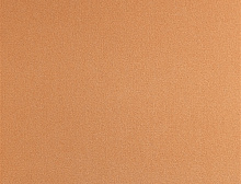картинка Balsan Ковер Balsan (Балсан) Balsan Sydney DD - 450 TANGO,  4 м 100% ПОЛИАМИД (Балсан ) магазин Симфония Пола - официальный дилер Balsan в России 