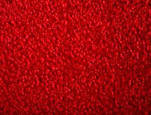 картинка Besana Ковер Besana (Бесана) BESANA Silk 08 артикул 2, ширина 4 м 100% ПОЛИАМИД (Бесана ) магазин Симфония Пола - официальный дилер Besana в России 