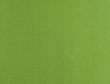 картинка Balsan Ковер Balsan (Балсан) Balsan Residentiel 250 POMME, 4 м 100% ПОЛИАМИД (Балсан ) магазин Симфония Пола - официальный дилер Balsan в России
