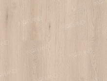 картинка Alpine Floor Norland Alante 1001-5 (Алпайн флор Аланте 1001-5) магазин Симфония Пола - официальный дилер Alpine Floor в России 