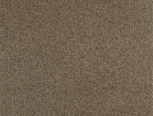 картинка Balsan Ковер Balsan (Балсан) Balsan Serenite 750 SEPIA, 4 м 100% ПОЛИАМИД Solution dyed (Балсан ) магазин Симфония Пола - официальный дилер Balsan в России
