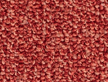 картинка Balsan Коммерческий ковролин Centaure Deco 588 (Бальсан Центаури Деко 588) магазин Симфония Пола - официальный дилер Balsan в России