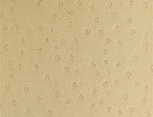 картинка Balsan Ковер Balsan (Балсан) Balsan Territoires  Atoll 311 SABLE , 4 м 100% ПОЛИАМИД (Балсан ) магазин Симфония Пола - официальный дилер Balsan в России 