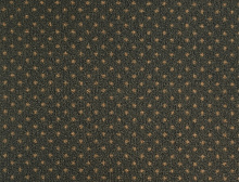 картинка Balsan Ковер Balsan (Балсан) Balsan Amiral - 970 CORIANDRE, 4 м 100% ПОЛИАМИД (Балсан ) магазин Симфония Пола - официальный дилер Balsan в России