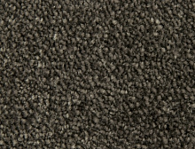картинка Edel Ковер Edel (Эдель) Edel Group Picollo  - 189 Iron, ширина 4 м 100% ПОЛИАМИД Solution dyed (Эдель ) магазин Симфония Пола - официальный дилер Edel в России 