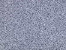 картинка Balsan Ковер Balsan (Балсан) Balsan Z?nith Roll - 920, ширина 4м (Балсан ) магазин Симфония Пола - официальный дилер Balsan в России