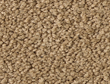 картинка Balsan Ковер Balsan (Балсан) Balsan Sublime - 630 HONEY, 4 м 100% ПОЛИАМИД Solution dyed (Балсан ) магазин Симфония Пола - официальный дилер Balsan в России
