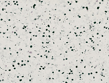 картинка Gerflor ПВХ рулонный Gerflor (Жерфлор) Mipolam Elegance EL5 0350 Light Grey, 2*20m (Жерфлор ) магазин Симфония Пола - официальный дилер Gerflor в России