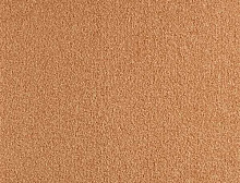 картинка Balsan Ковер Balsan (Балсан) Balsan Les First 425 AMBRE, 4 м 100% ПОЛИАМИД (Балсан ) магазин Симфония Пола - официальный дилер Balsan в России