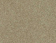 картинка Interface Ковровая плитка Interface (Интерфейс) Polichrome 7567 Linen  0.5x0.5 м (Интерфейс ) магазин Симфония Пола - официальный дилер Interface в России 