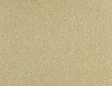 картинка Balsan Ковер Balsan (Балсан) Balsan Serenite 620 CHAMPAGNE, 4 м 100% ПОЛИАМИД Solution dyed (Балсан ) магазин Симфония Пола - официальный дилер Balsan в России