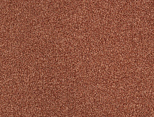 картинка Balsan Ковер Balsan (Балсан) Balsan Script 470 BRIQUE, 4 м 100% ПОЛИАМИД (Балсан ) магазин Симфония Пола - официальный дилер Balsan в России 