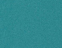 картинка Vorwerk Passion 1000 3N58 (Ворверк Пасион 1000 3N58) магазин Симфония Пола - официальный дилер Vorwerk в России