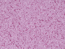 картинка Gerflor ПВХ рулонный Gerflor (Жерфлор) Mipolam Affinity 4482 Orchid, рулон 2х20м (Жерфлор ) магазин Симфония Пола - официальный дилер Gerflor в России
