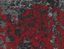 картинка Balsan Ковер Balsan (Балсан) Balsan French Couture Ilda 995, 4 м 100% ПОЛИАМИД Solution dyed (Балсан ) магазин Симфония Пола - официальный дилер Balsan в России 