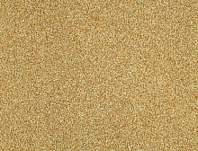 картинка Balsan Ковер Balsan (Балсан) Balsan Script 380 OR, 4 м 100% ПОЛИАМИД (Балсан ) магазин Симфония Пола - официальный дилер Balsan в России