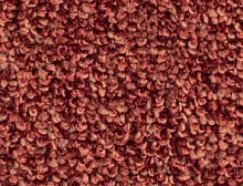 картинка Balsan Коммерческий ковролин Centaure Deco 578 (Бальсан Центаури Деко 578) магазин Симфония Пола - официальный дилер Balsan в России