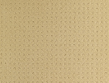 картинка Balsan Ковер Balsan (Балсан) Balsan Territoires  Atrium 311 SABLE, 4 м 100% ПОЛИАМИД (Балсан ) магазин Симфония Пола - официальный дилер Balsan в России 