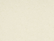 картинка Gerflor ПВХ рулонный Gerflor (Жерфлор) Mipolam Symbioz 6002 Lipica, рулон 2х20м (Жерфлор ) магазин Симфония Пола - официальный дилер Gerflor в России 