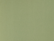 картинка Balsan Ковер Balsan (Балсан) Balsan Les Greens 2 Confort 238 TILLEUL, 4 м 100% ПОЛИАМИД (Балсан ) магазин Симфония Пола - официальный дилер Balsan в России
